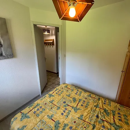 Cosy 2 Avec Balcon Sud/est, Parking, Garage - 6 Personnes - Fr-1-198-140 * Шатель